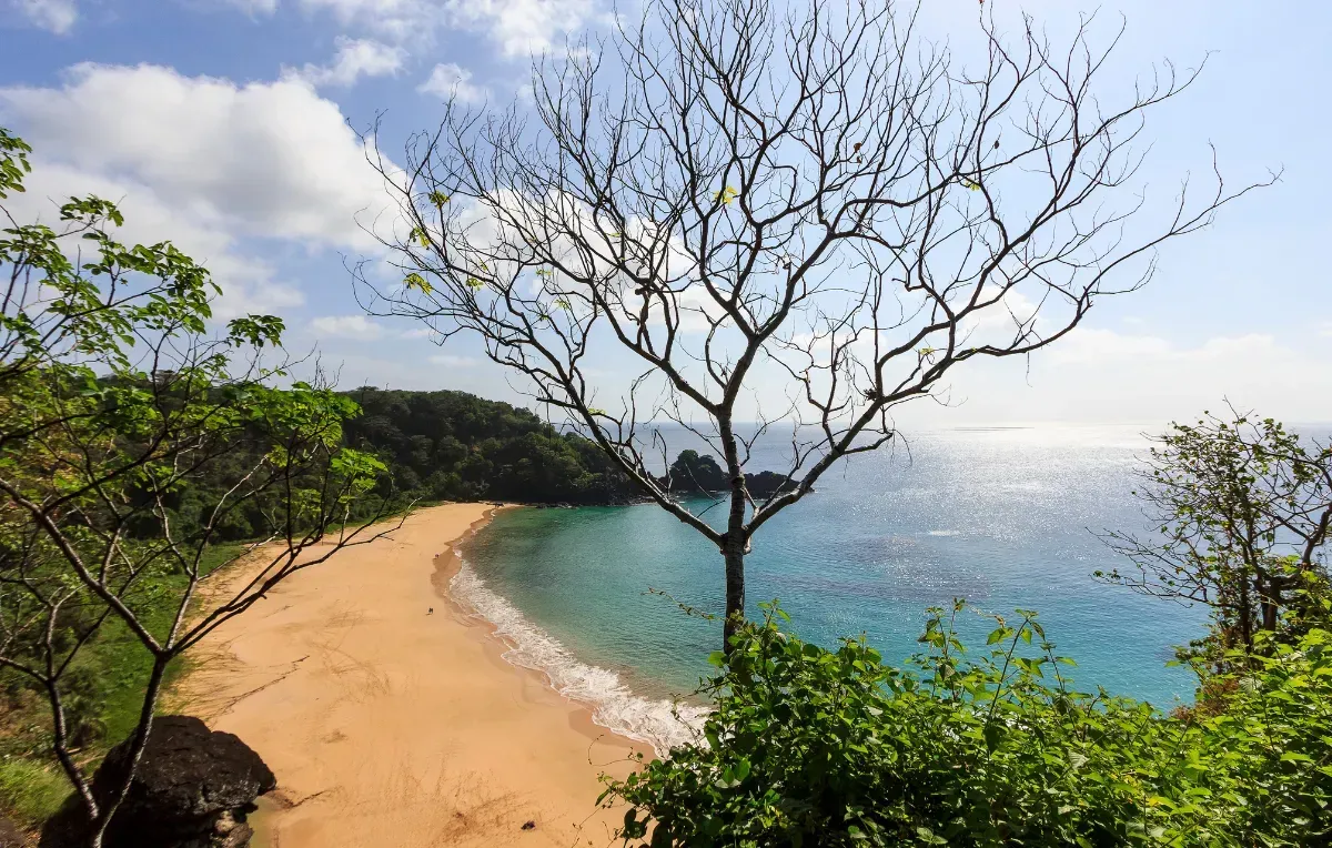 Imagem da galeria de Fernando de Noronha